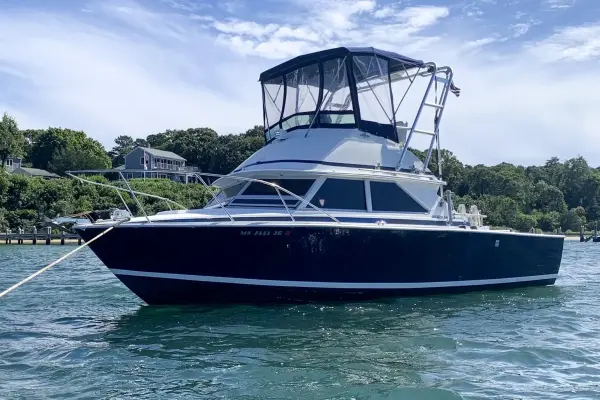 Cheap Therapy Charters – Family-Owned Private Boat Tours on Martha’s Vineyard